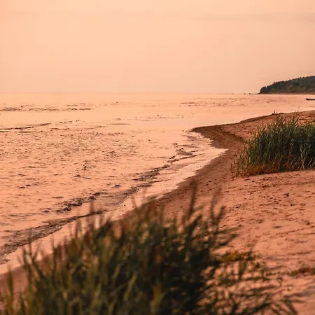 Kotkapesa * Treimani