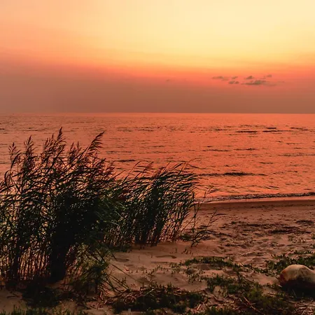 Kotkapesa Aparthotel Treimani