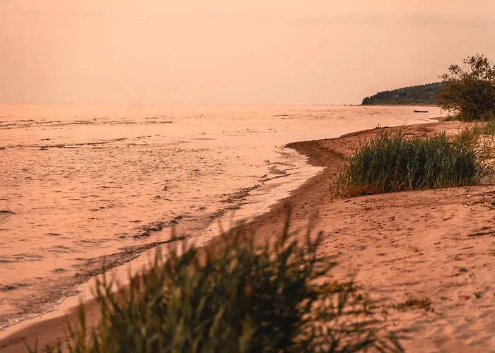 Kotkapesa * Treimani