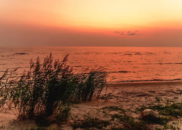 Kotkapesa Aparthotel Treimani